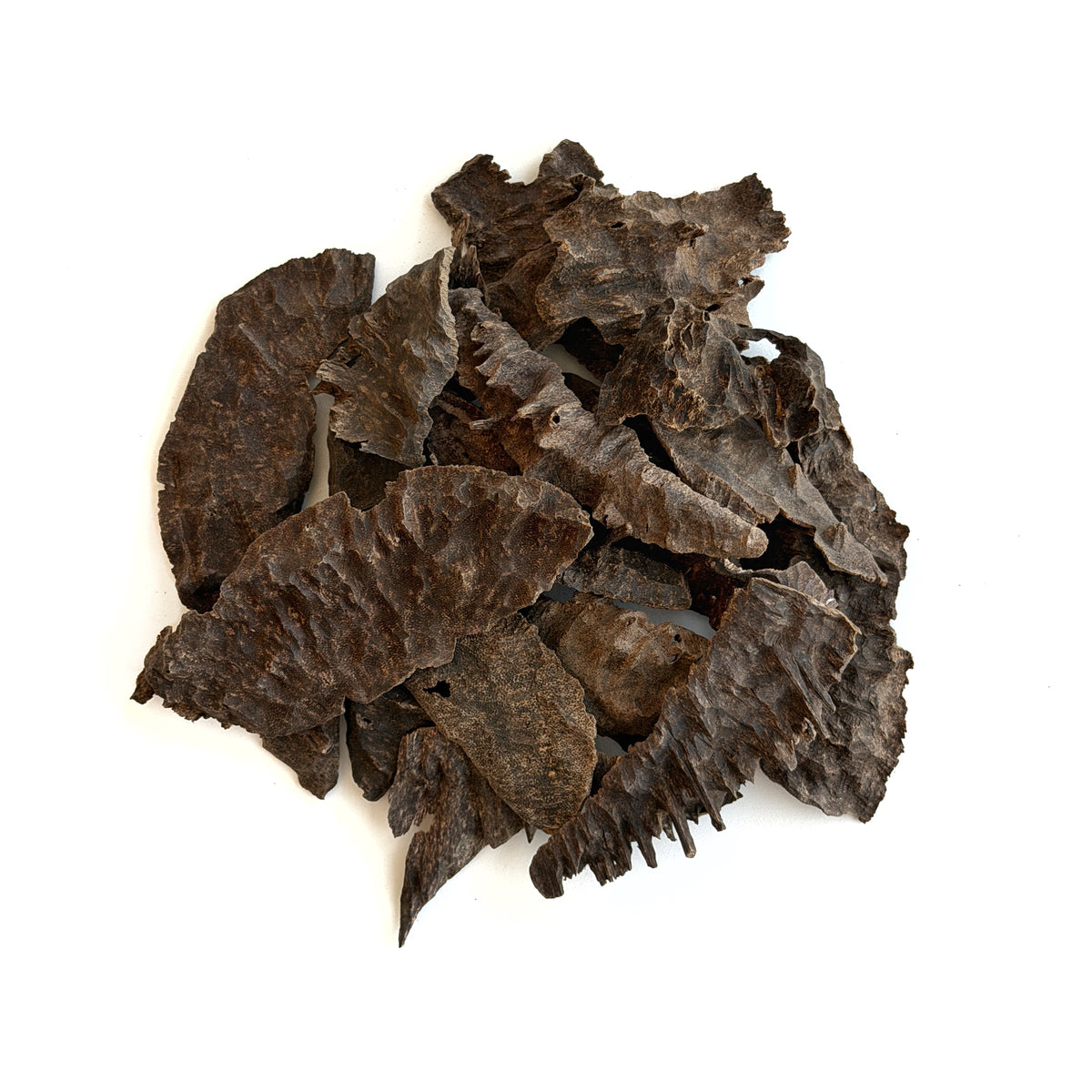 Original Indian Oud